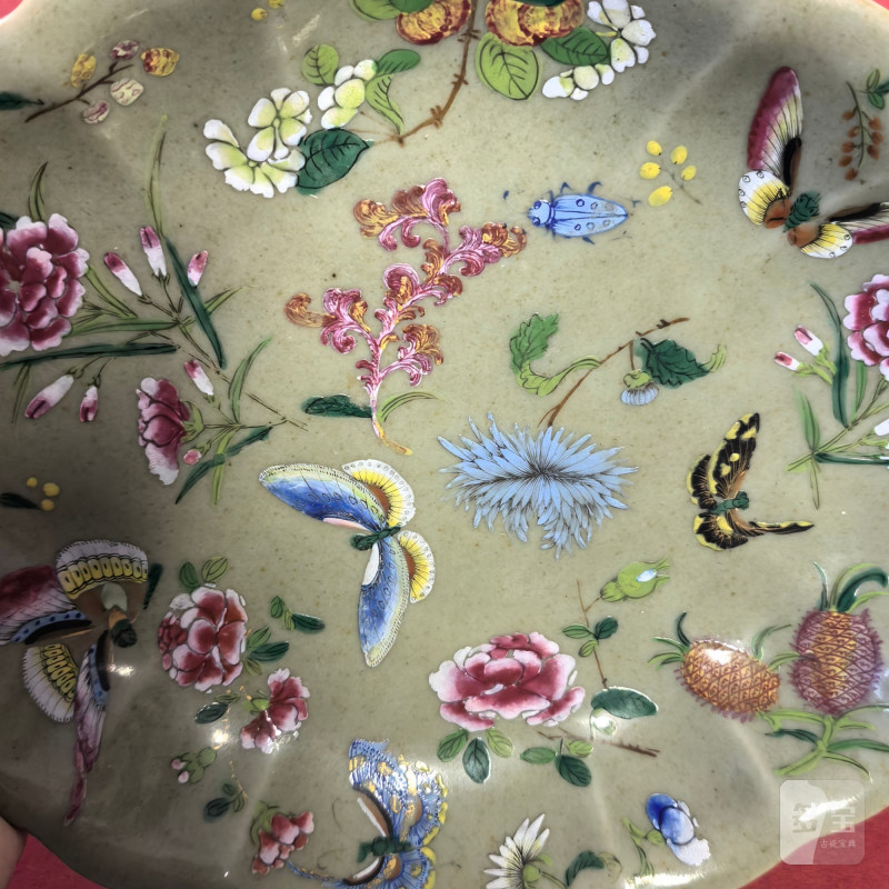清 豆青釉粉彩花蝶纹花花口盘 - 图5